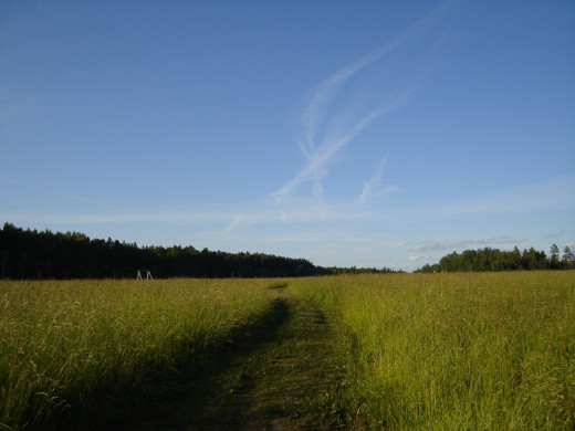 26963 (a): :1024x768